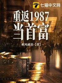 重返1987当首富章节列表