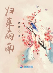 归来雨南章节列表