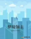 梦境领主章节列表