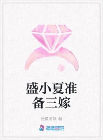 盛小夏准备三嫁章节列表