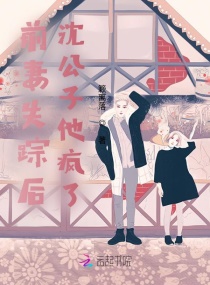 前妻失踪后，沈公子他疯了章节列表