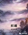 红道章节列表
