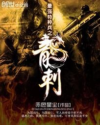 最强特种兵之龙刺章节列表