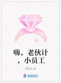 嗨，老伙计，小员工章节列表