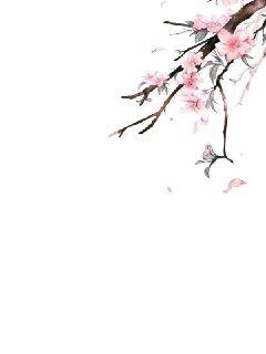 花魂引章节列表