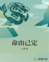 命由己定章节列表