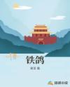 铁鸽章节列表