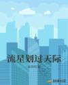 流星划过天际章节列表