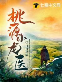 桃源小龙医章节列表