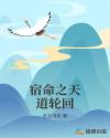 宿命之天道轮回章节列表