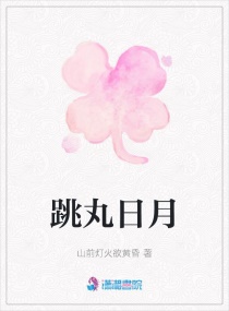 跳丸日月章节列表