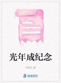 光年成纪念章节列表