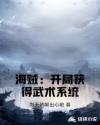 海贼：开局获得武术系统章节列表