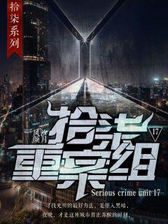 拾柒重案组章节列表