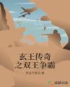 玄王传奇之双王争霸章节列表