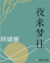 夜来梦往章节列表
