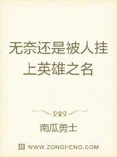 无奈还是被人挂上英雄之名章节列表
