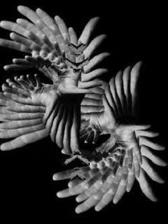 末日下的岛国章节列表