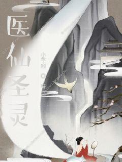 医仙圣灵章节列表