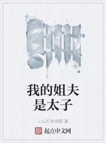 我的姐夫是太子章节列表