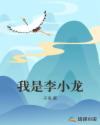 我是李小龙章节列表