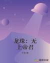 龙珠：无上帝君章节列表