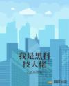我是黑科技大佬章节列表