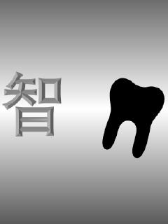 智齿章节列表