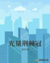 光量荆棘冠章节列表