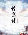 惊鸟传章节列表