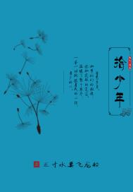 拾少年章节列表