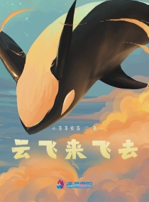 云飞来飞去章节列表