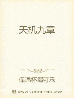 天机九章章节列表
