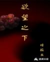 欲望之下章节列表