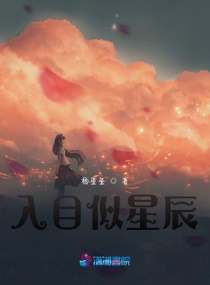 入目似星辰章节列表