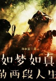 如梦如真的两段人生梦章节列表
