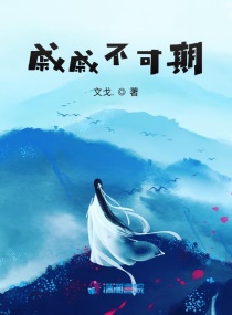 戚戚不可期章节列表