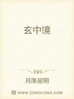 玄中境章节列表