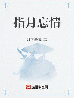 指月忘情章节列表