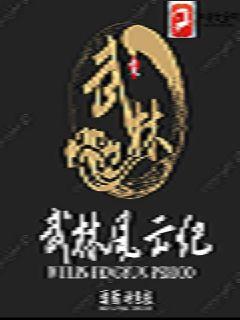武林风云纪章节列表