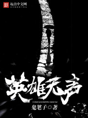 英雄无声章节列表