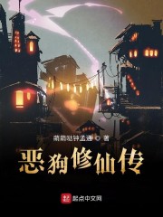 恶狗系统章节列表