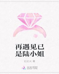 再遇见已是陆小姐章节列表