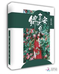 锦言不负安和章节列表