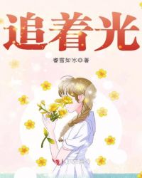 追着光章节列表