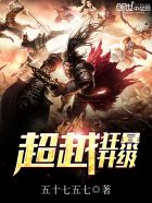超越狂暴升级章节列表