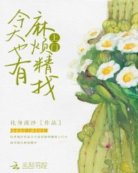 今天也有麻烦精找上门章节列表