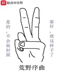 荒野序曲章节列表