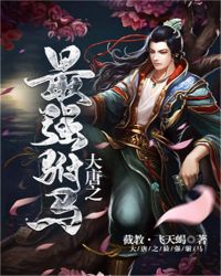 大唐之最强驸马章节列表