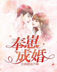 奉崽成婚章节列表